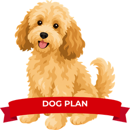 DOG Product Image V2 trans