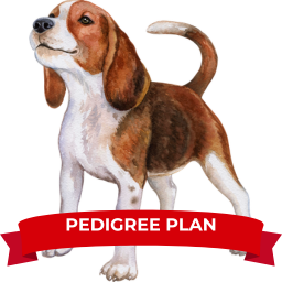 PEDIGREE Product Image V2